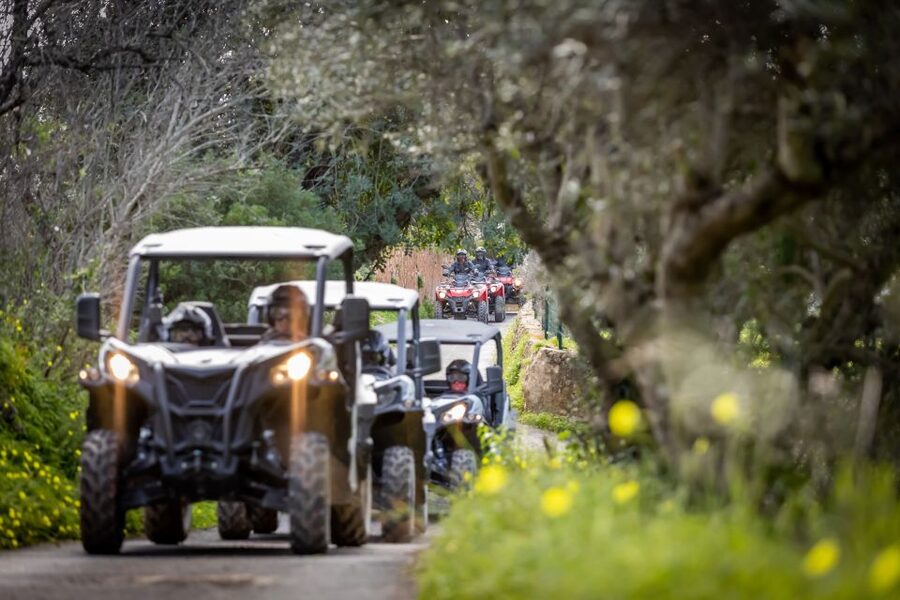 Almancil: Algarve Guided Off-Road Buggy Adventure - Key Things That Make This Buggy Adventure Worth It