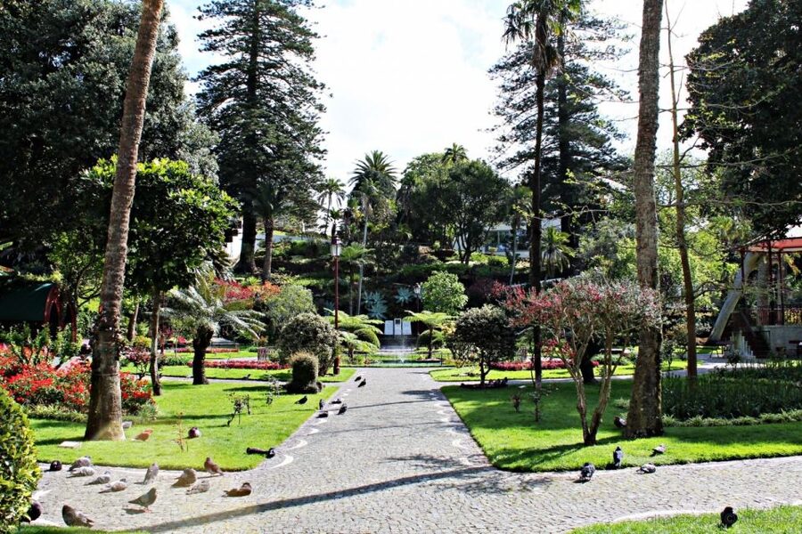 Angra do Heroísmo: Walking Tour with Local Pastry and Coffee - Upward into the city gate area: Alto das Coves and the market