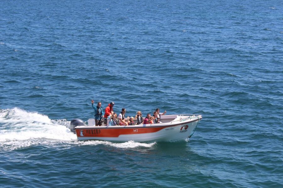 Armação de Pêra: Guided Boat Tour of Benagil's 15 Best Caves - Price and value: is $41 per person fair for 15 caves?