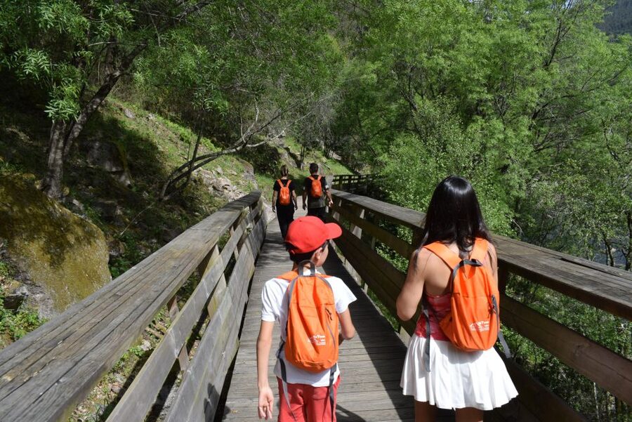 Arouca: Guided Tour Paiva Walkways + 516 Suspension Bridge - Paiva Walkways Meets the 516 Arouca Bridge, the combo that makes sense