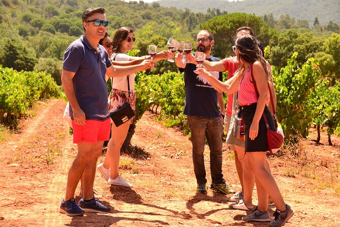 Arrabida and Sesimbra Small-Group Day Trip from Lisbon with Wine Tasting - Quinta do Alcube: the family farm tasting inside Arrábida