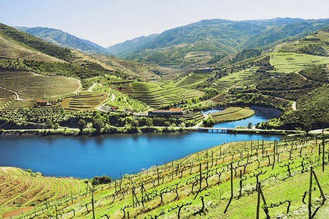 Authentic Small Group Douro Wine Tour with Lunch & River Cruise - Porto to the Douro in one day, without feeling rushed