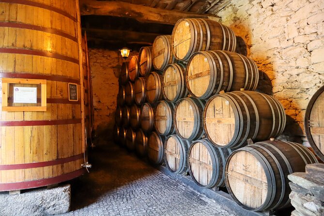 Authentic Small Group Douro Wine Tour with Lunch & River Cruise - Winery 1, like Quinta do Tedo: what to expect from the tasting
