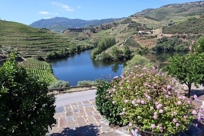 Authentic Small Group Douro Wine Tour with Lunch & River Cruise - Winery 2, like Quinta do Beijo: the owner-led feel