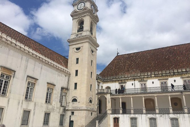 Aveiro and Coimbra Small Group Tour with Moliceiro Boat Cruise - Lunch free time at the ria, and how to choose without losing the day