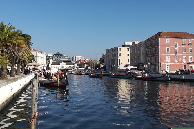 Aveiro and Coimbra Small Group Tour with Moliceiro Boat Cruise - How your guide affects the experience more than you think