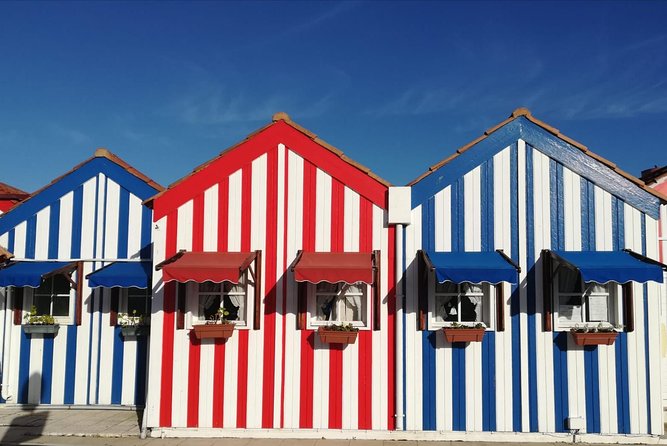 Aveiro and Coimbra Small Group Tour with Moliceiro Boat Cruise - Ria de Aveiro and the Moliceiro cruise, your real highlight