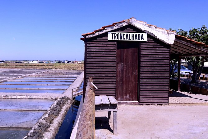 Aveiro and Costa Nova Half Day Tour from Porto with Boat Ride - Costa Nova do Prado: striped fishermen’s houses and a quick beach break