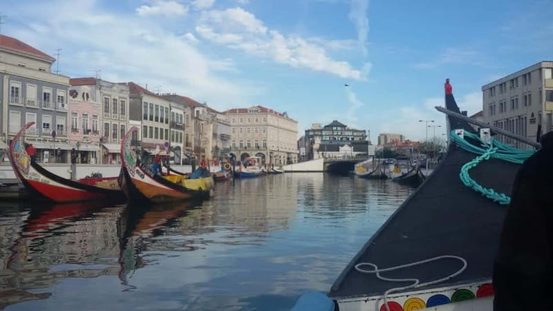 Aveiro & Coimbra Small Group Tour with Moliceiro Boat Cruise - From Porto to Aveiro in an air-conditioned van: your reset time