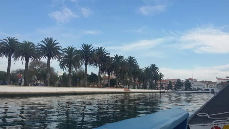 Aveiro & Coimbra Small Group Tour with Moliceiro Boat Cruise - The moliceiro boat cruise: the best seat in Aveiro