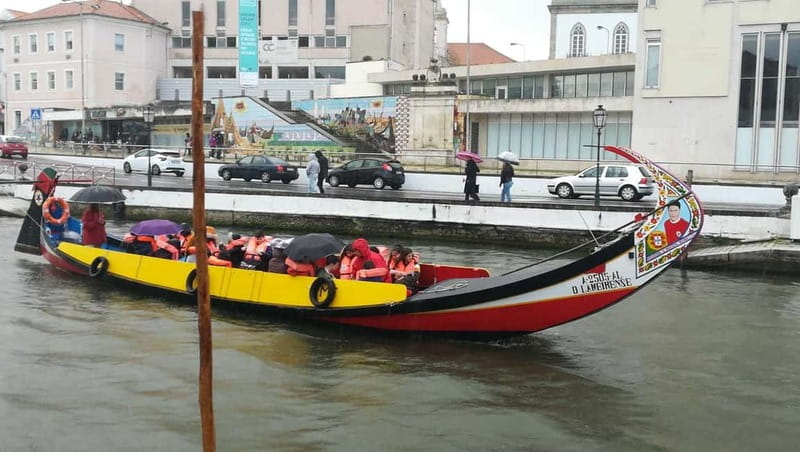 Aveiro & Coimbra Small Group Tour with Moliceiro Boat Cruise - Return to Porto: a comfortable wrap-up