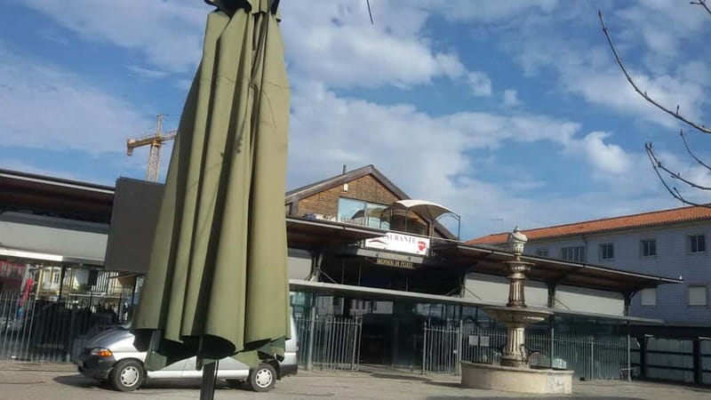 Aveiro & Coimbra Small Group Tour with Moliceiro Boat Cruise - Aveiro first: fish market energy, Art Nouveau, and a city that feels designed