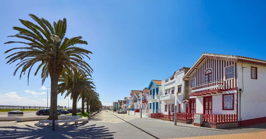 Aveiro: Half-Day Tour from Porto with Optional Cruise - Guide and Driver Energy: How This Tour Stays Friendly and Clear
