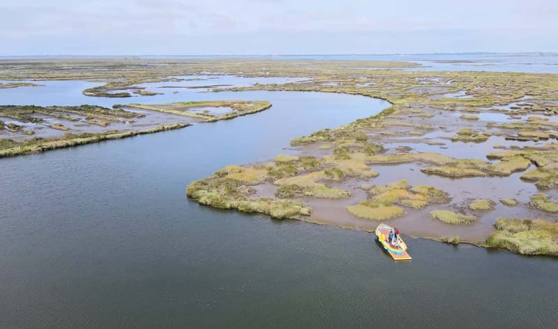 Aveiro: Ria Highlights Boat Tour - Key things I’d plan around