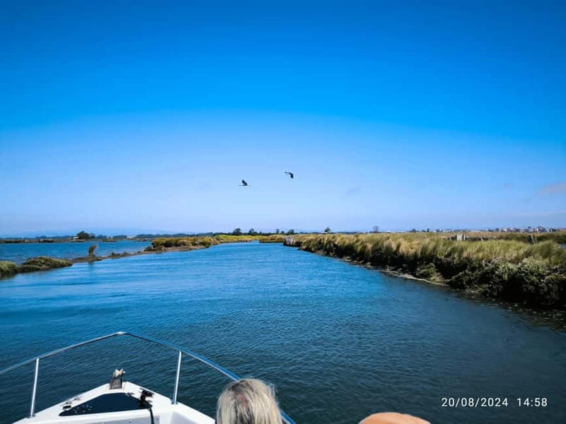 Aveiro: Ria Highlights Boat Tour - Who should book this, and who might prefer something else