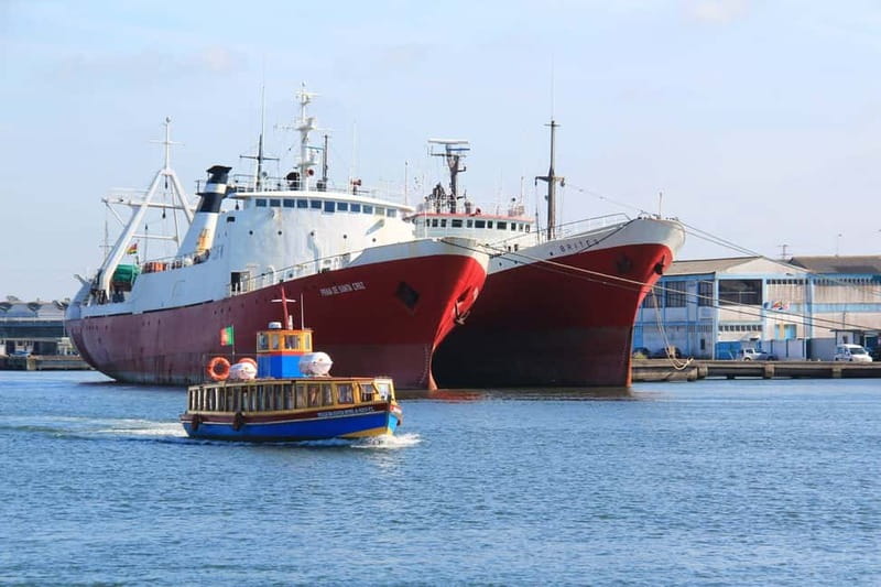 Aveiro: Ria Highlights Boat Tour - Why Ria de Aveiro feels different from the canal rides