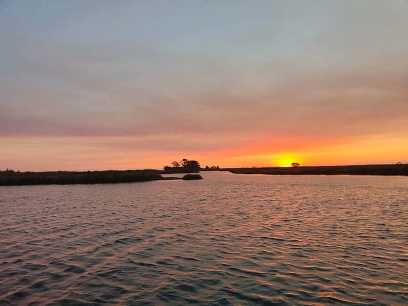 Aveiro: Ria Highlights Boat Tour - What you actually get on board (and what it changes)