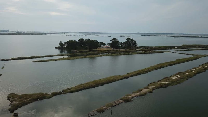 Aveiro: Ria Highlights Boat Tour - The route in motion: from canal locks to lagoon “working nature”
