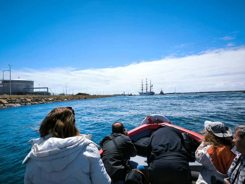 Aveiro: Ria Highlights Boat Tour - Salt pans, port history, and why the guide’s stories matter