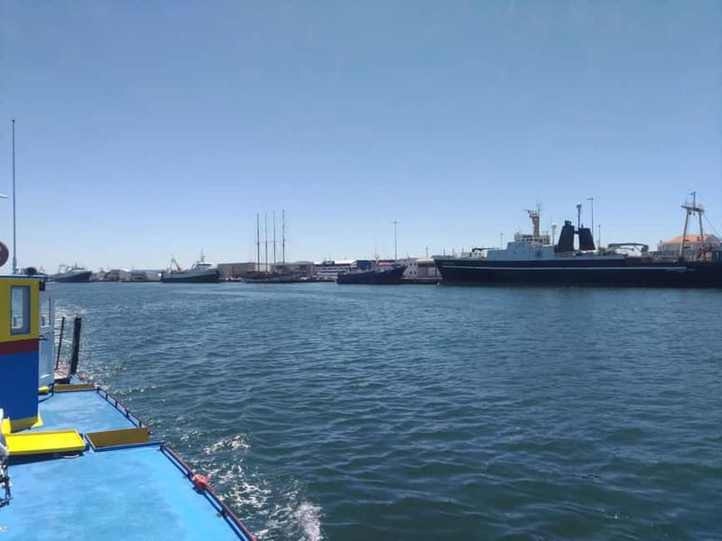 Aveiro: Ria Highlights Boat Tour - Price and logistics: is $35 good value?