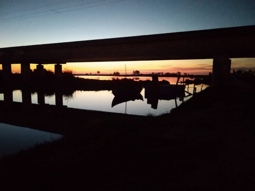 Aveiro: Walking Tour, Boat Cruise, Sweets & Church Entrance - Quick take: what you’ll really remember