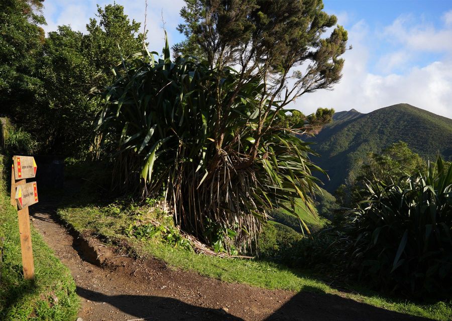 Azores: São Miguel and Lagoa do Fogo Hiking Trip - Who this hike is best for, and who should skip it