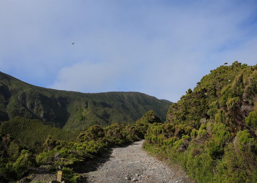 Azores: São Miguel and Lagoa do Fogo Hiking Trip - Lagoa do Fogo on São Miguel: why this hike hits different