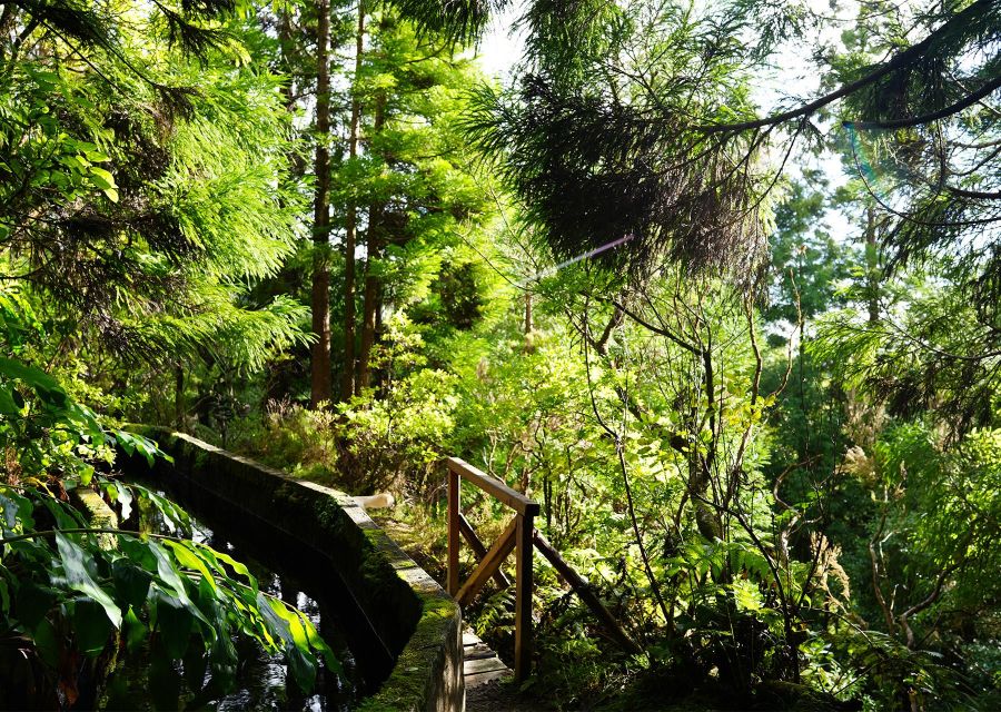 Azores: São Miguel and Lagoa do Fogo Hiking Trip - Vila Franca do Campo viewpoints: the island shows its personality