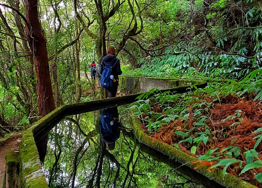 Azores: São Miguel and Lagoa do Fogo Hiking Trip - Lagoa do Fogo: picnic lunch in a natural reserve