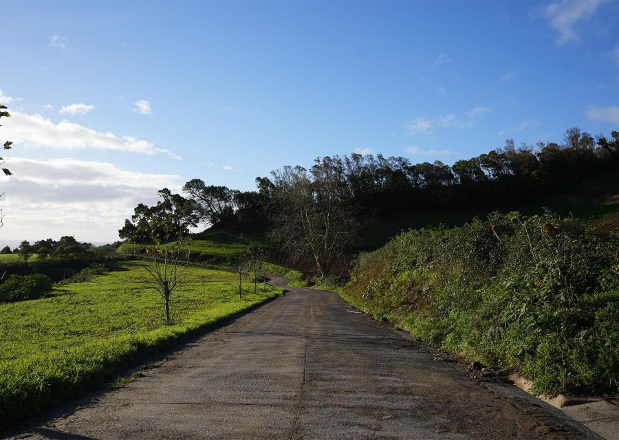 Azores: São Miguel and Lagoa do Fogo Hiking Trip - Getting picked up in Ponta Delgada, then heading south