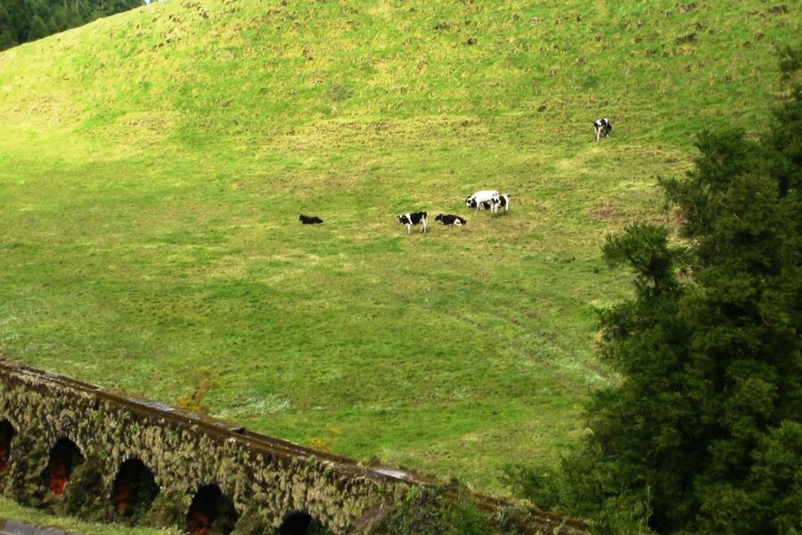 Azores: Sete Cidades Scenic Jeep Tour from Ponta Delgada - Vista do Rei: your last big photo stop with big Atlantic context