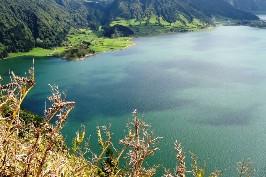 Azores: Sete Cidades Scenic Jeep Tour from Ponta Delgada - Flora, local stories, and why the guide can make or break the day