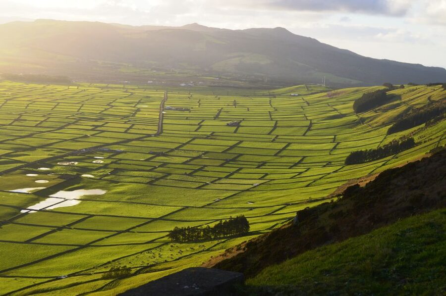 Azores: Terceira Island Full-Day Tour - Where the Guides Add Real Value (Honorio and Elizabeth as examples)