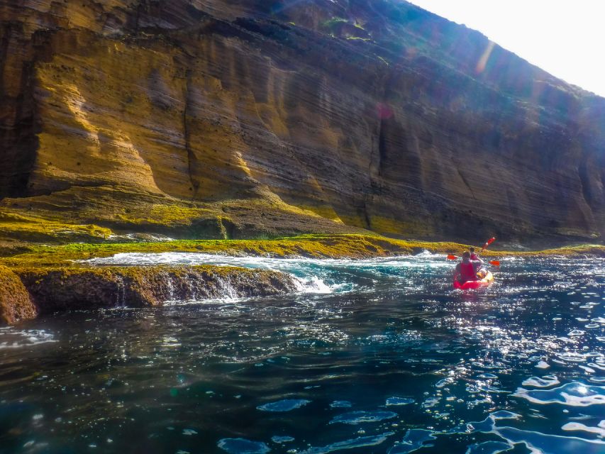 Azores: Vila Franca do Campo Islet Kayaking Experience - Circumnavigation, caves, and the crater-islet views that make the effort worth it