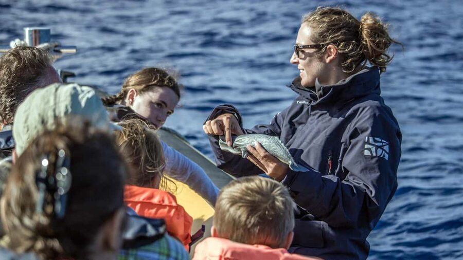 Azores: Whale Watching & Islet Boat Tour w/ Marine Biologist - Key highlights you’ll care about