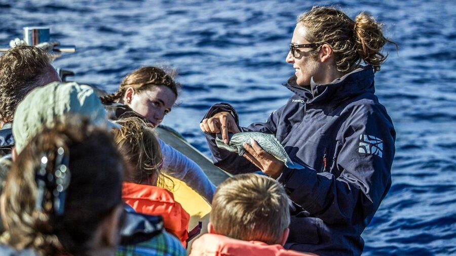 Azores: Whale Watching & Islet Boat Tour w/ Marine Biologist - Weather, safety, and who should not book