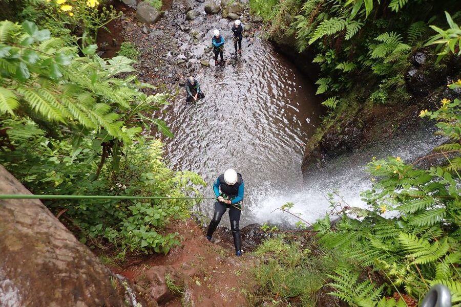 Beginner Canyoning Madeira - Key highlights worth planning around
