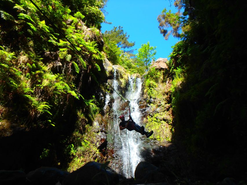 Beginner Canyoning Madeira - Madeira Canyoning: the big reason this beats a standard sightseeing day
