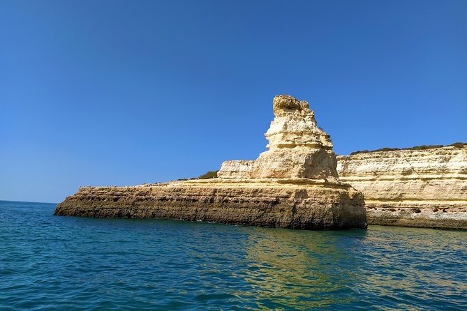 Benagil And Dolphins Tour - Dolphin spotting: what your 30 minutes can look like