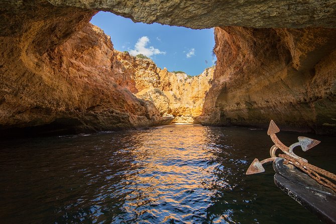 Benagil Cave Boat Tour - Catamarans or Rib - 2 H From Portimão - Dolphins: what to expect, and how to stay sane about it