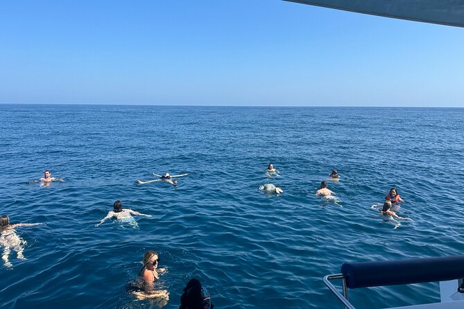 Benagil Caves & Coast from Portimão on an Eco-Friendly Catamaran - Start at Portimão Marina: how to board at Cais M and Pier M