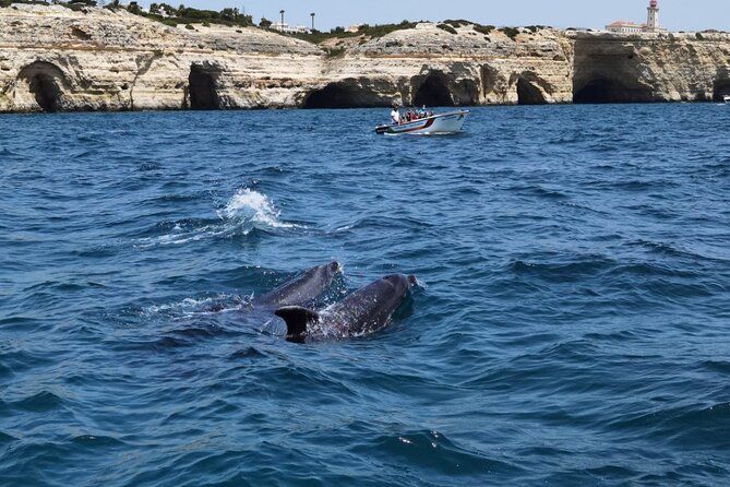 Benagil Caves Tour from Portimao - Carvoeiro Views, Starting With the Algarve Coast in Context