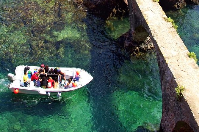 Berlenga Island Small-Group Day Trip from Lisbon - Nature Reserve time: flora, fauna, and how to spot it
