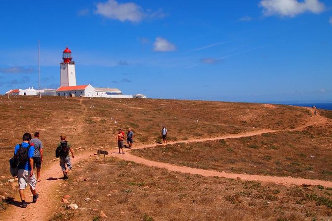 Berlenga Island Small-Group Day Trip from Lisbon - Lunch and beach time: how to use your free hours
