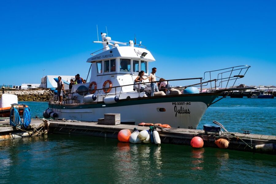 Berlengas The Atlantic Frontier: Day Tour from Lisbon - Boat rides back and the day’s emotional arc
