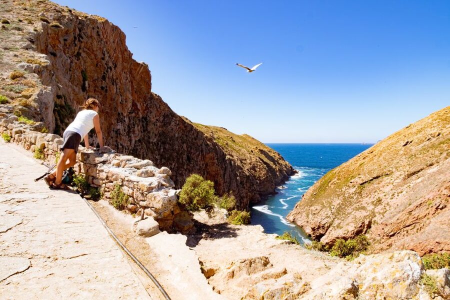 Berlengas The Atlantic Frontier: Day Tour from Lisbon - Who should book this Berlenga Grande day trip