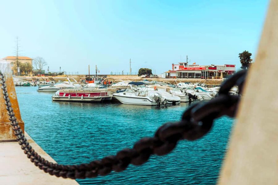 Best of the East: Day Trip to Faro, Olhão, Tavira, & more - Guide style matters, and it can make or break the experience