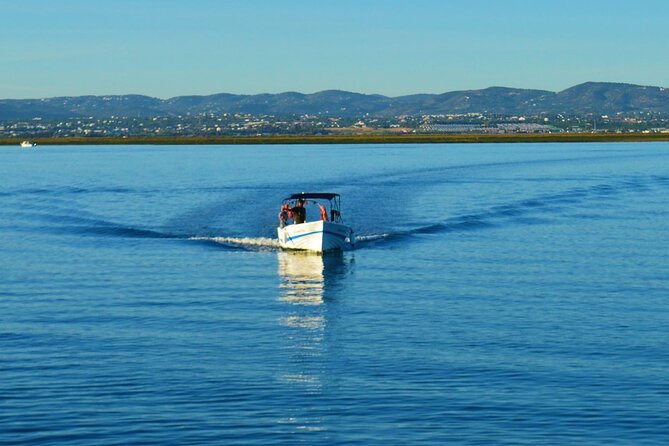 Boat Tour of 2 Ria Formosa Islands: Culatra and Armona - Who this tour suits, and who should consider alternatives