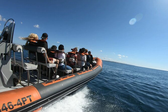 Boat trip to the caves of Benagil - The Algarve shoreline cruise: Carvoeiro, Portimão, and Alvor views