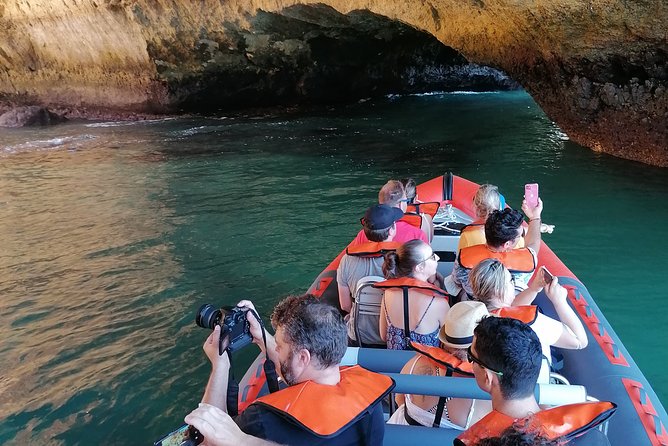 Boat trip to the caves of Benagil - Dolphins and marine life: what you can hope for, not promise